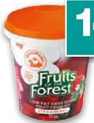 DairyBelle Fruits of The Forest Yoghurt-1kg