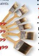 Academy Deziner Paint Brushes-100mm