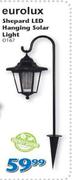 Eurolux Shepard LED Hanging Solar Light-O167