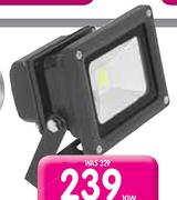 LED Floodlight-30W Each