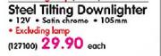 Eurolux Steel Tilting Downlighter-Each