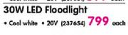 Spazio 30W LED Floodlight-20V Each