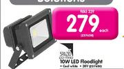 Spazio 10W LED Floodlight-20V Each