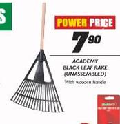 Academy Black Leaf Rake
