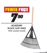 Academy Black Leaf Rake