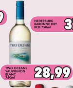 Two Oceans Sauvignon Blanc-750ml
