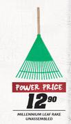 Millennium Leaf Rake Unassembled
