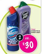 Domestos & Handy Andy-2x750ml
