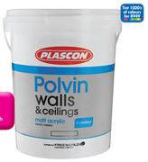 Plascon Tint 1000's Colour