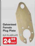 Galvanised Female Plug Plate-Each