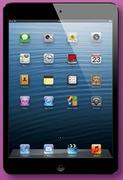 Apple iPad Mini WiFi & Cellular 16GB With Non Retina Display-On My Gig 1