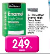 Homestead 5Ltr Enamel High Gloss Paint-Each