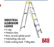 6 Step Industrial Aluminium Ladder 110kg Capacity