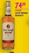 Olof Bergh Brandy-750ml