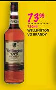 Wellington Vo Brandy-750ml