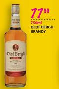 OLOF Bergh Brandy-750ml