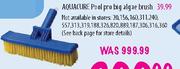 Aquacure Pool Pro Big Algae Brush