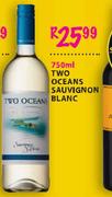 Two Ocean Sauvignon Blanc-750ml