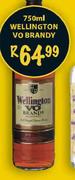 Wellington Vo Brandy-750ml