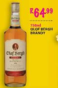 olof Bergh Brandy-750ml