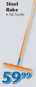 Steel Rake
