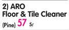 Aro Floor & Tile Cleaner (Pine) -5L