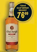 Olof Bergh Brandy-750ml