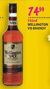 Wellington Vo Brandy-750ml