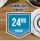 Downlight Swivel