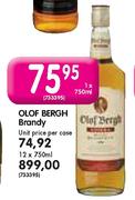 Olof Bergh Brandy-1X750ml