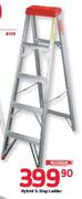Hybrid 5 Step Ladder