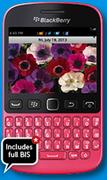 Blackberry 9720-On Flexi 150
