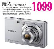 Sony Cybershot (DSC-W610SLV)