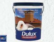 Dulux Rainshield-20L
