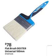 Dexter Flat Brush (Universal) 100mm 81401446