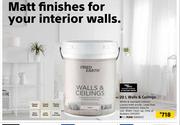 Fired Earth 5Ltr Walls & Ceilings