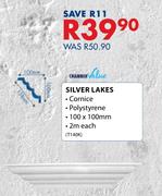 Chamber Value Silver Lakes Cornice-100 x 100mm