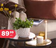 Planter Pots-Each