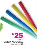 Aqua Noodles-Each