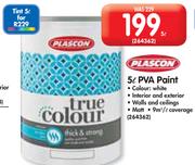 Plascon 5L PVA Paint