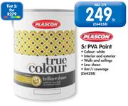 Plascon 5L  PVA Paint