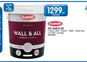 Plascon 20 L Wall & All