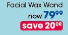 Mandy's Facial Wax Wand-Each