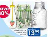 Clicks Cactus & Summer Stort Products-Each