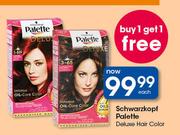 Schwarzkopf Palette Deluxe Hair Colour-Each