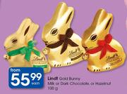 Lindt Gold Bunny Milk Or Dark Chocolate Or Hazelnut-100g Each