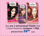 Schwarzkopf Palette Hair Colour Products-Each