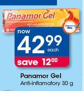 Panamor Gel Anti Inflamatory-30g Each
