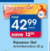 Panamor Gel Anti Inflamatory-30g Each