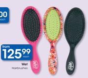Wet Hairbrushes-Each
